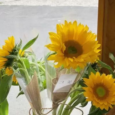 万博体育苹果下载